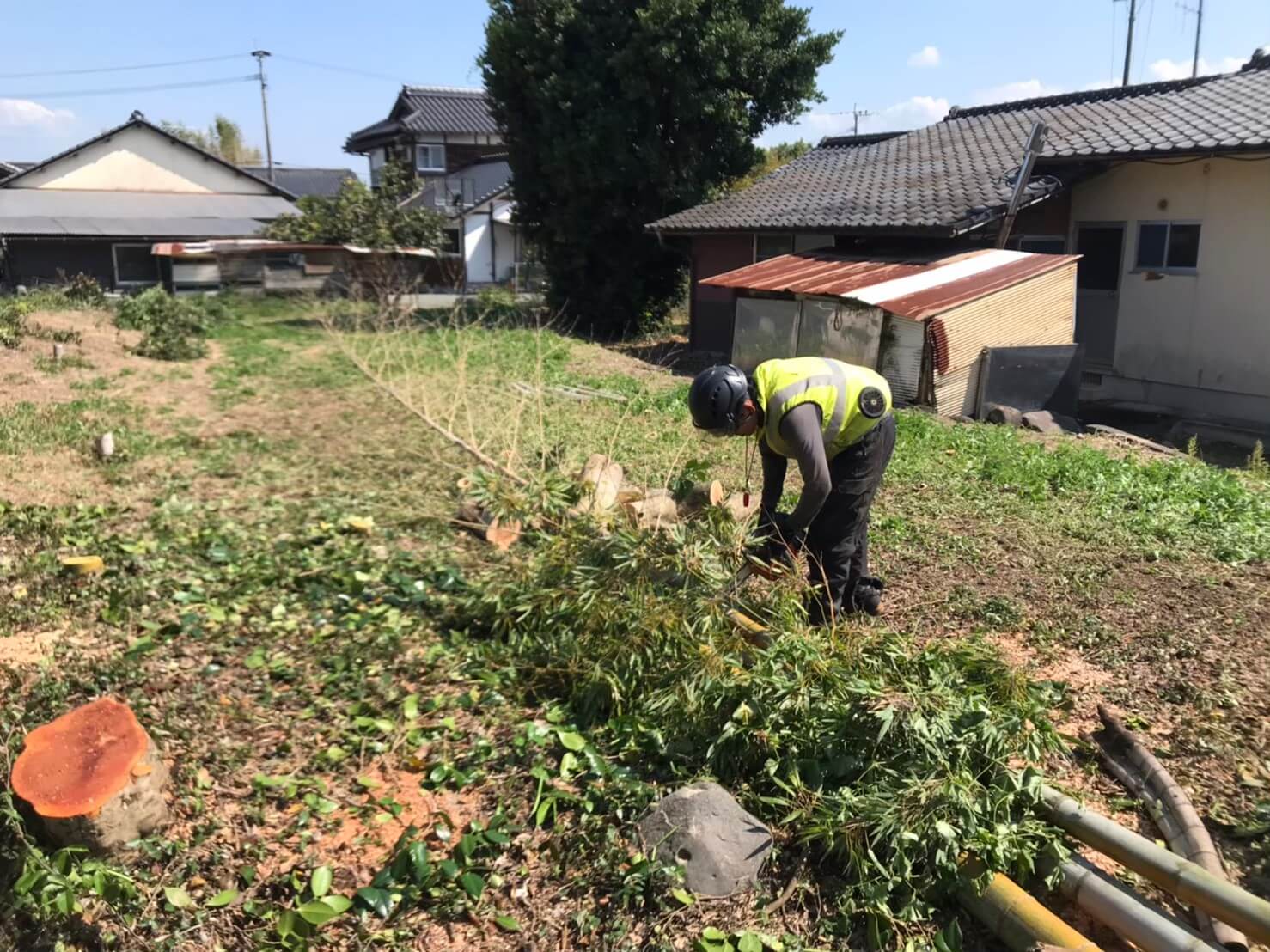 竹集材中の田嶋。先の方は軽いのですが根元付近は大きいものになると木と同じくらい重たいものも。